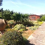Private Villa Oasis Des Trenc